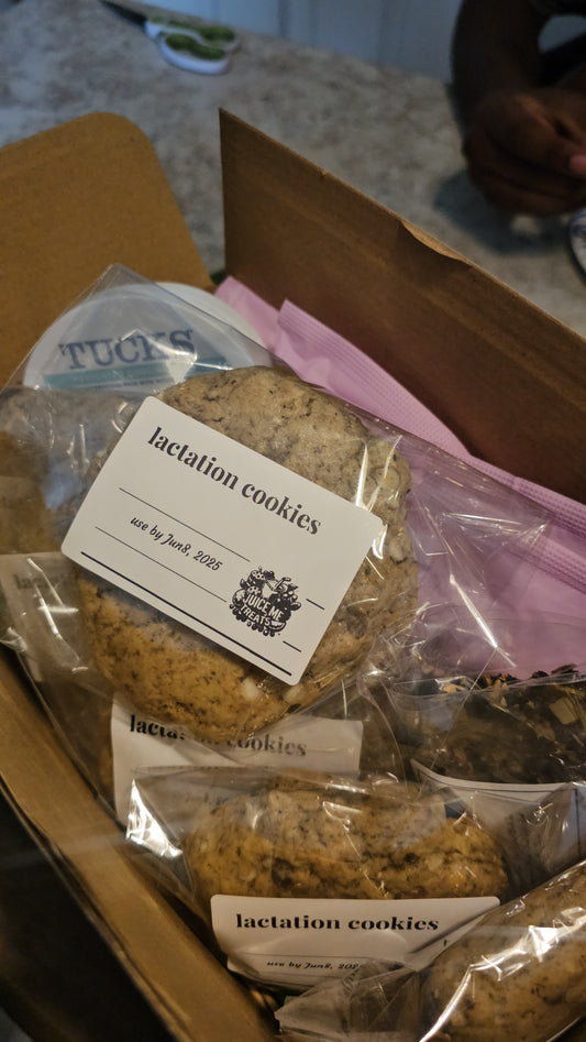 8 Pack Lactation Basic Chocolate Oatmeal